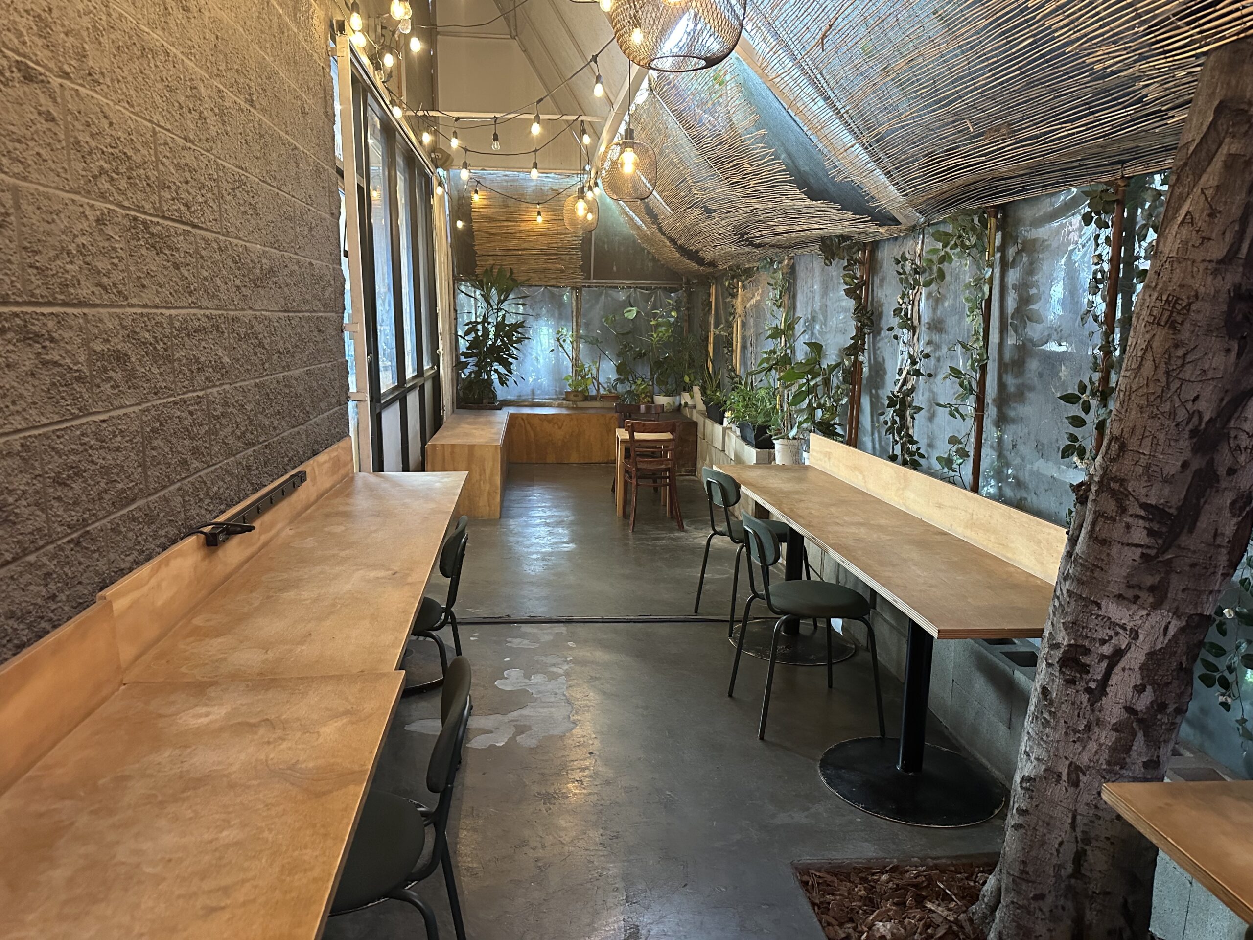 photo of the interior of a coffee shop with lots of plants